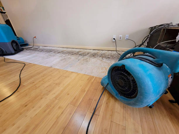 Professional Emergency Water Damage technician working in Five Points, CA